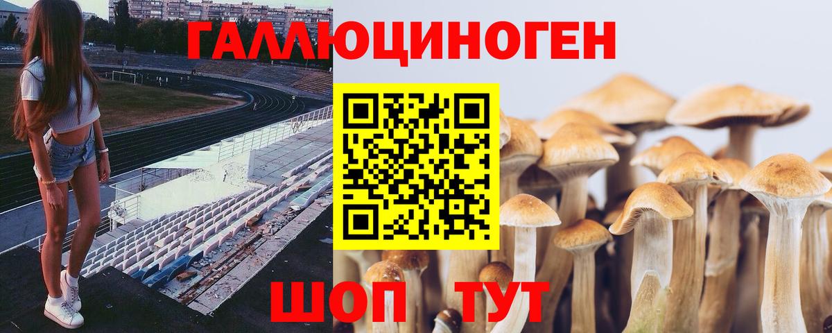 Псилоцибиновые грибы MAGIC MUSHROOMS  Вход с VPN  Саранск 